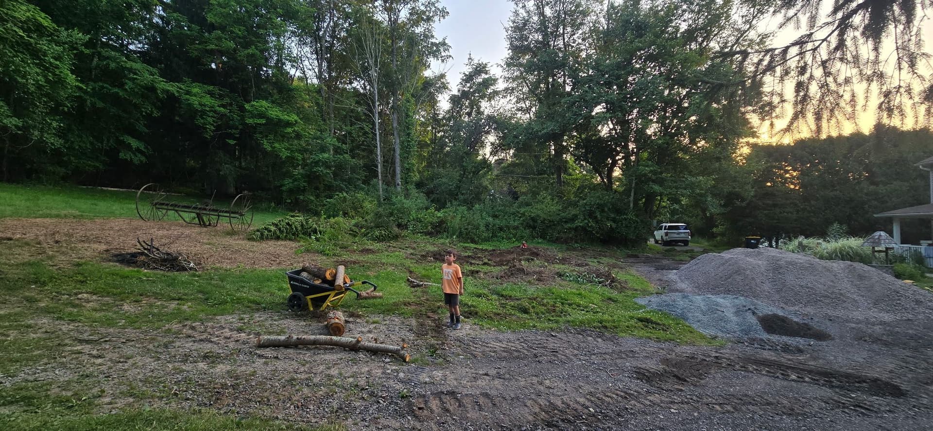 Tree Removal, Stump Grinding, and Driveway Grading Done Right