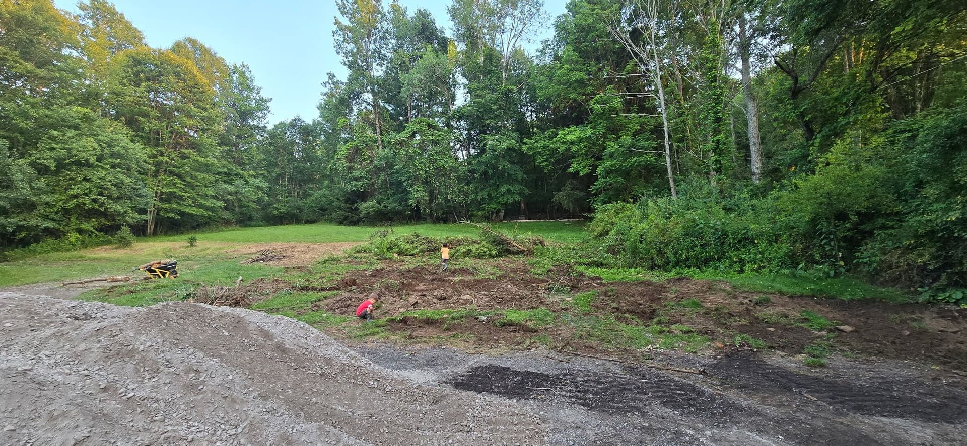 Tree Removal, Stump Grinding, and Driveway Grading Done Right