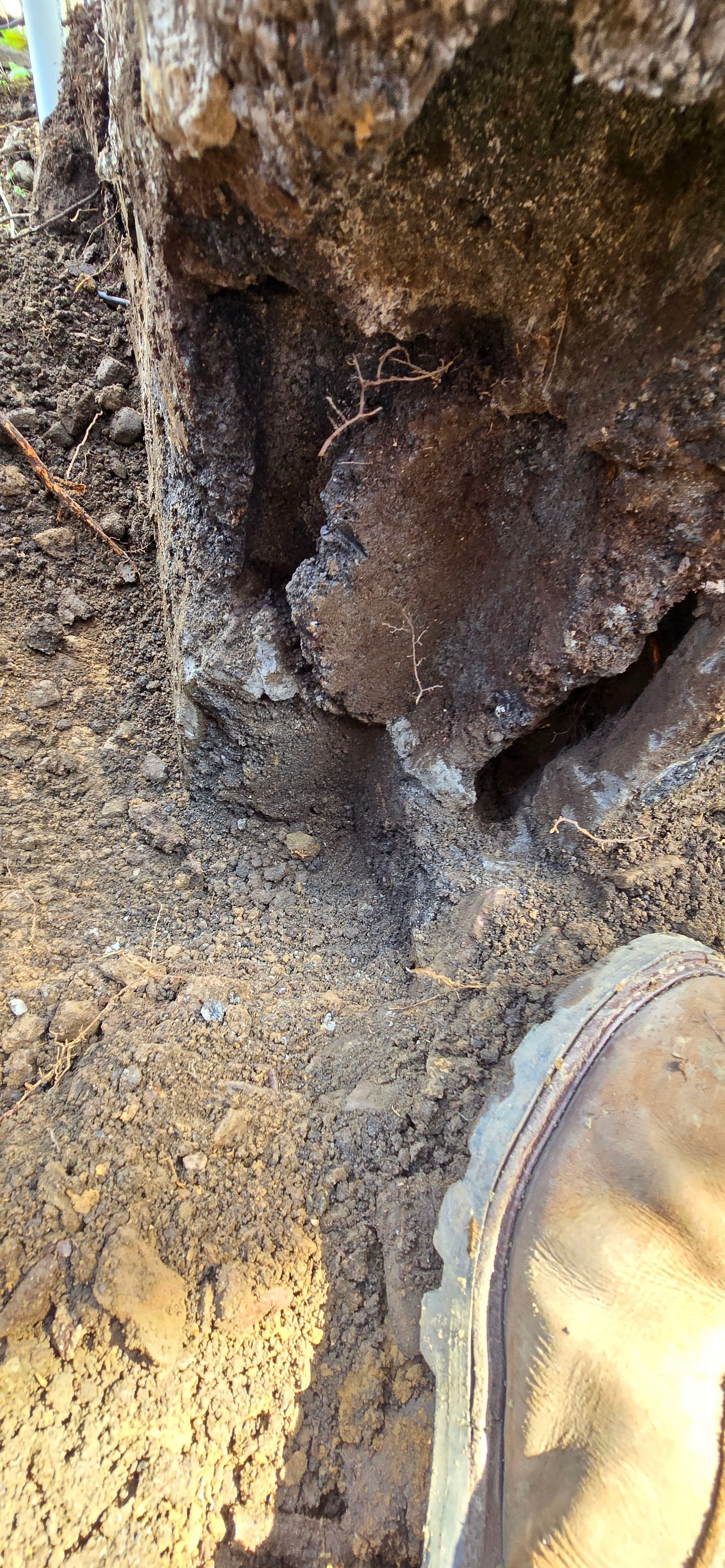 Project Basement Leak Tracked Down and Fixed From the Outside In image