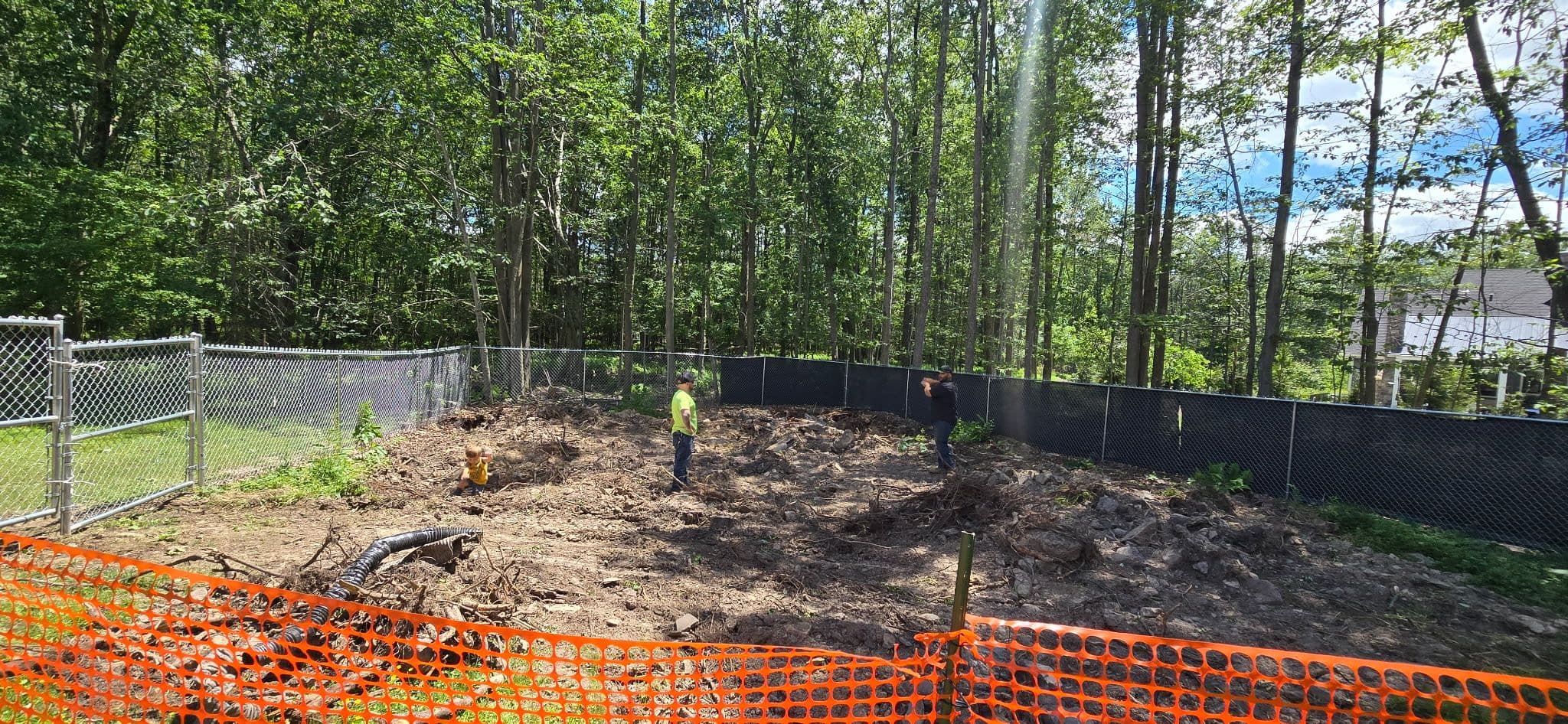 Project Backyard Clearing, Grading, and Drainage Done Right image