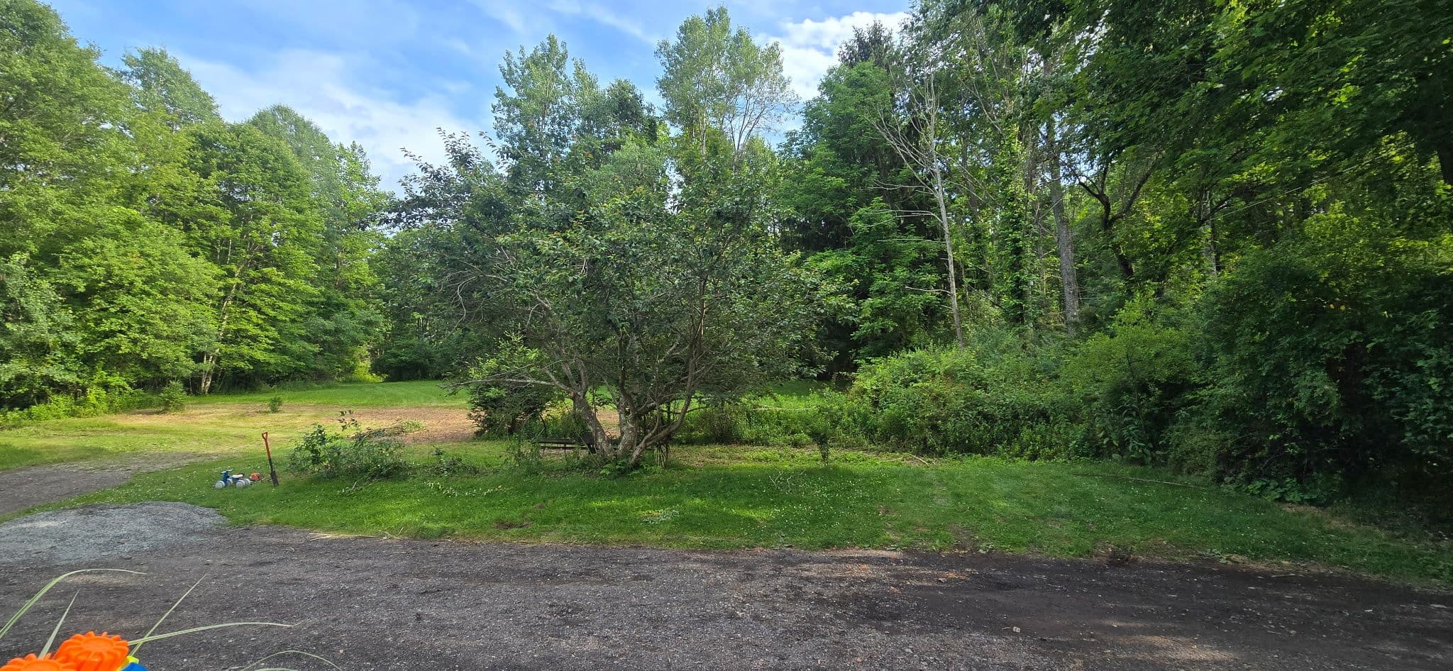 Project Tree Removal, Stump Grinding, and Driveway Grading Done Right image