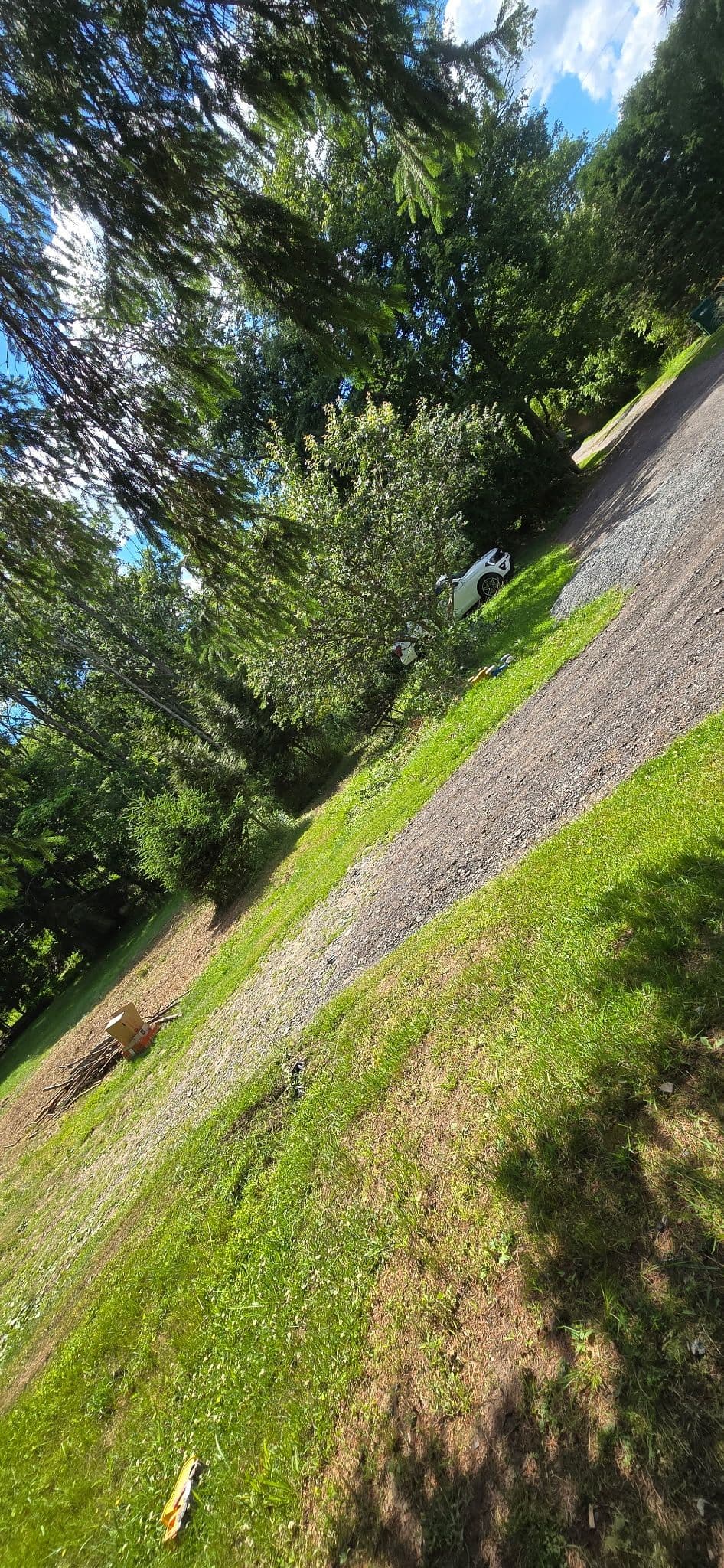 Tree Removal, Stump Grinding, and Driveway Grading Done Right