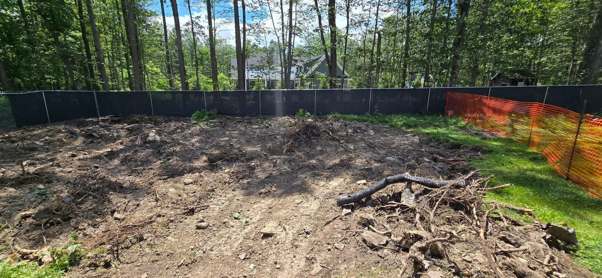 Gallery photos for Backyard Clearing, Grading, and Drainage Done Right: Image #2