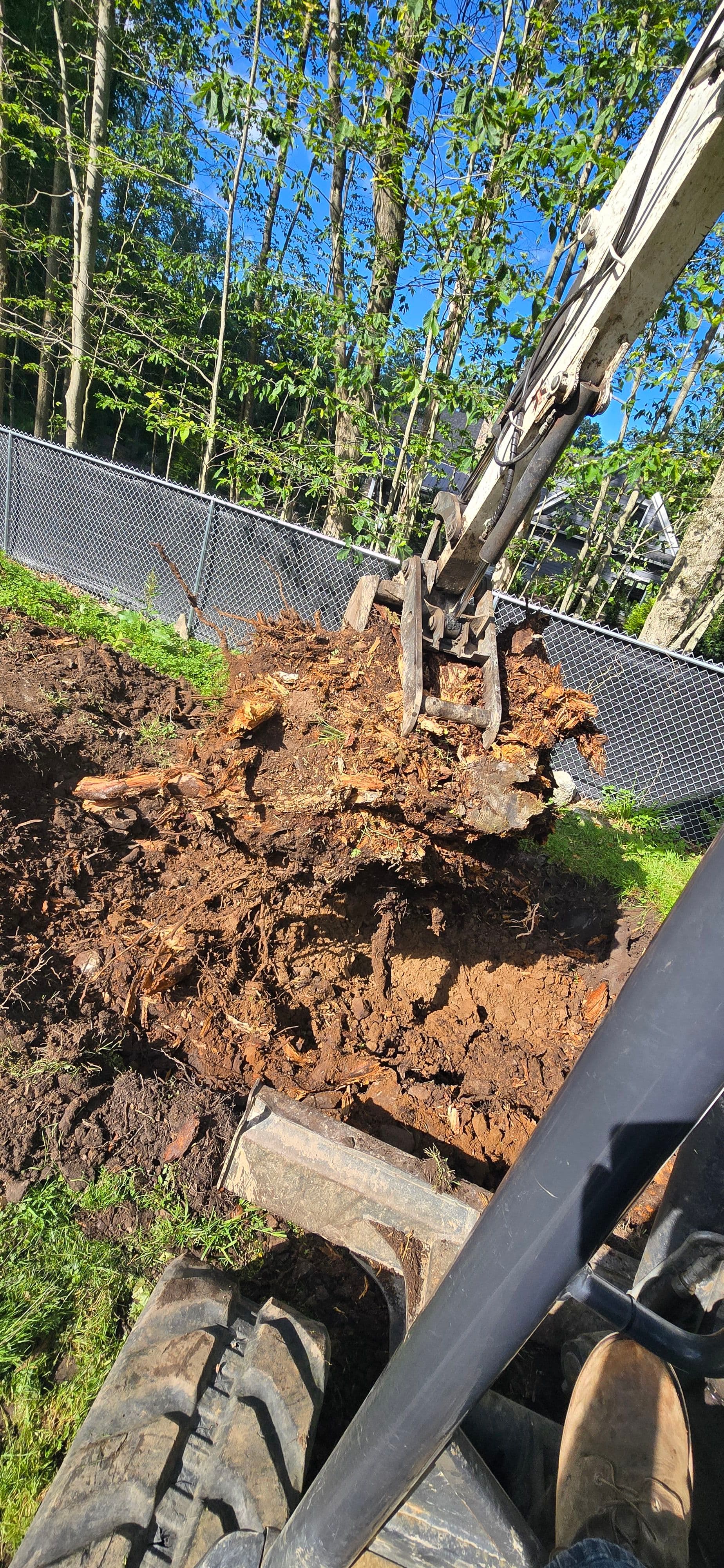 Gallery photos for Backyard Clearing, Grading, and Drainage Done Right: Image #4