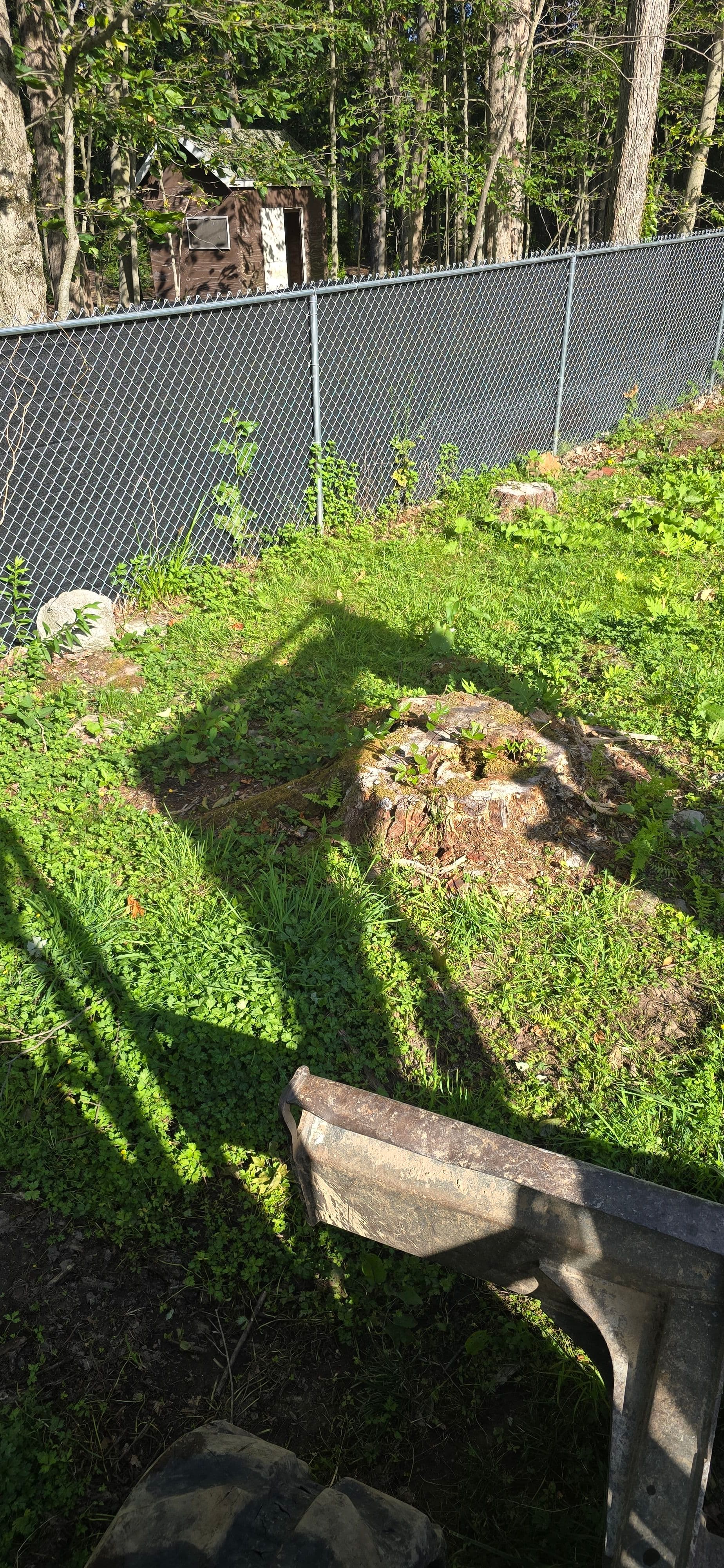 Gallery photos for Backyard Clearing, Grading, and Drainage Done Right: Image #3