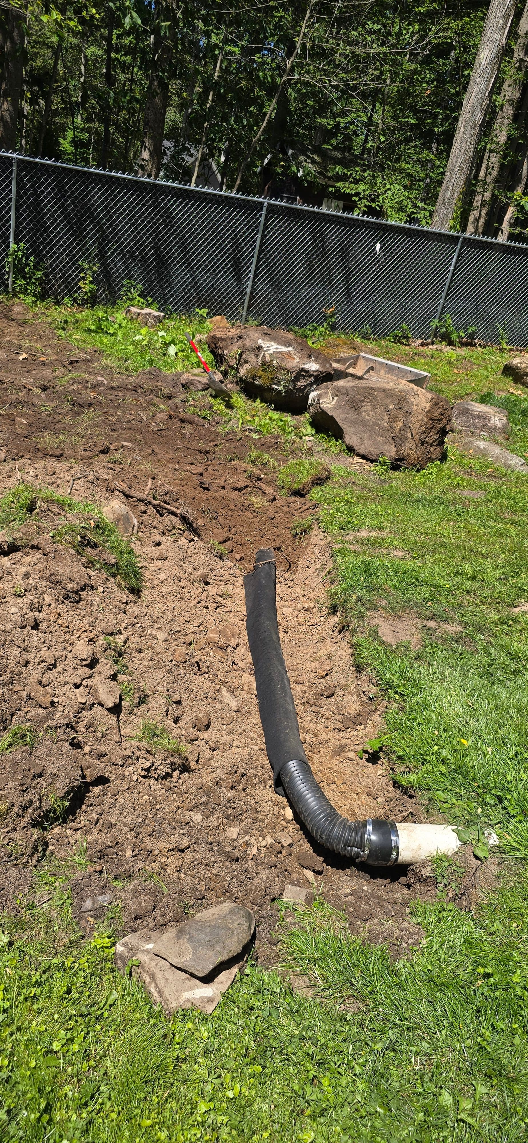 Gallery photos for Backyard Clearing, Grading, and Drainage Done Right: Image #6